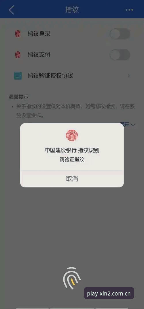 新2投注官网APP服务完整使用指南：从下载到畅玩一步到位